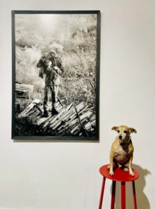 Kominek Gallery, „Patchwork Garden“, 09.-29.05.26