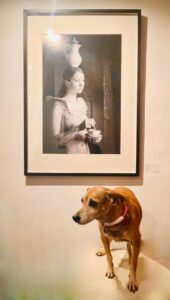 Vernissage Hoppers zu Besuch bei ArtPavillon'61: Claudia Otto, Fotografie aus „Fragiles"