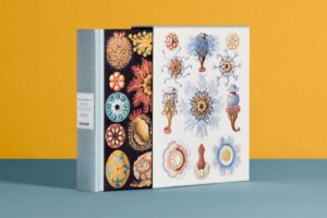 Ernst Haeckel TASCHEN: Buchcover mit farbigen Quallen- und Radiolarien-Tafeln aus Kunstformen der Natur
