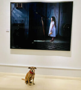 Vernissage Hoppers zu Besuch bei Camera Work: Christian Tagliavini, „Place des Rêves"