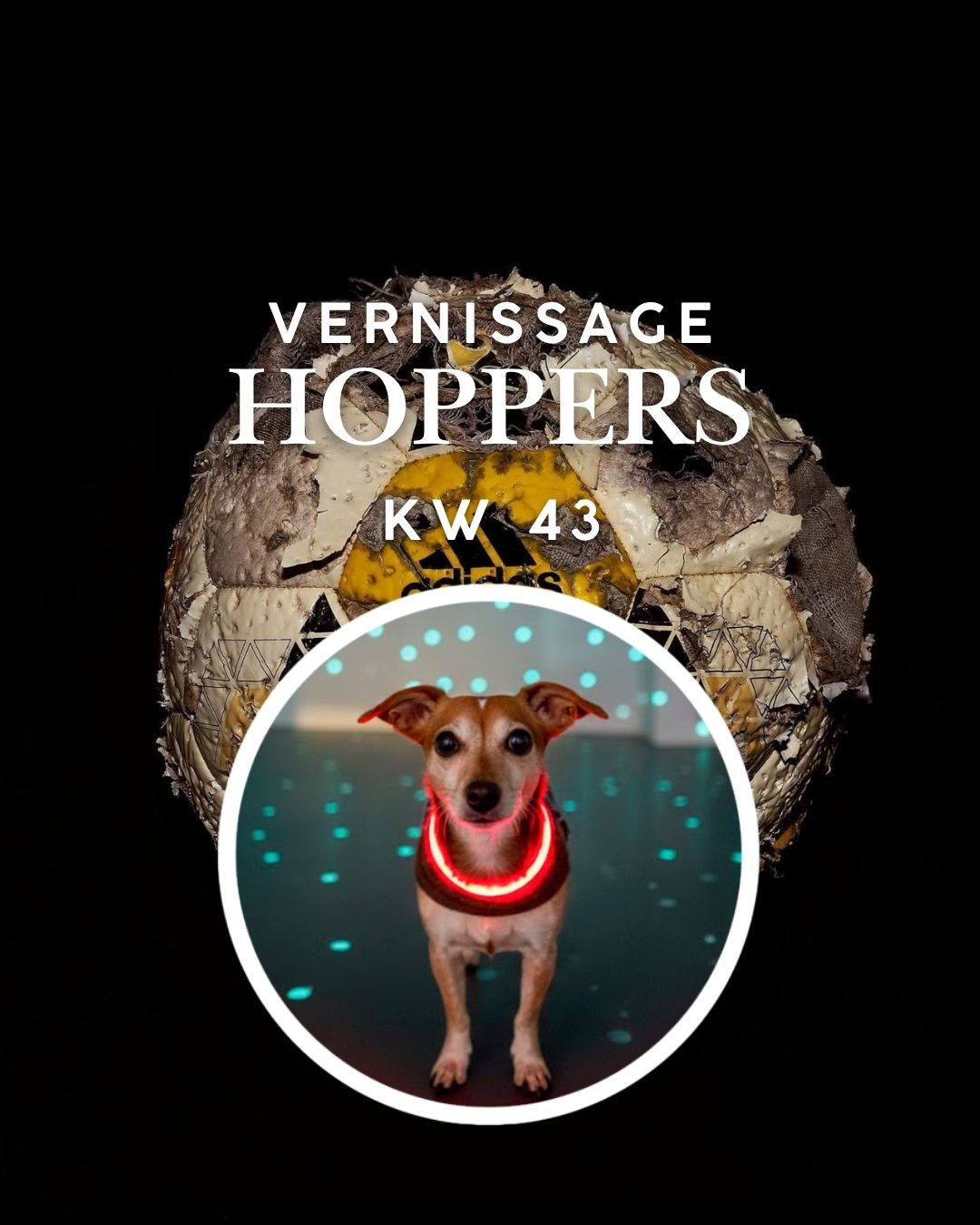 Vernissage Hoppers KW 43: Cettino, Kolumne von Kunstleben Berlin